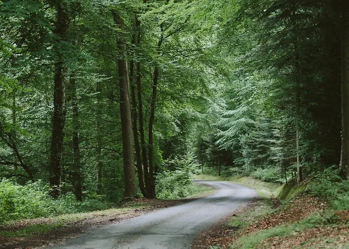 Ferienhaus Petite Maison De Charme Dans Domaine Boisé *