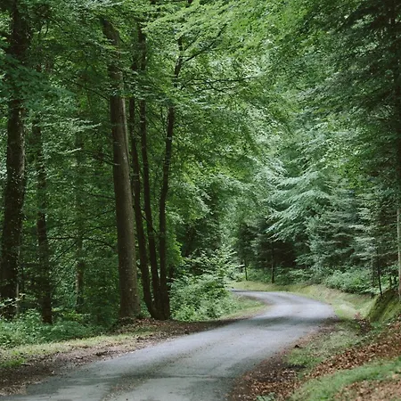 Vakantiehuis Petite Maison De Charme Dans Domaine Boise *
