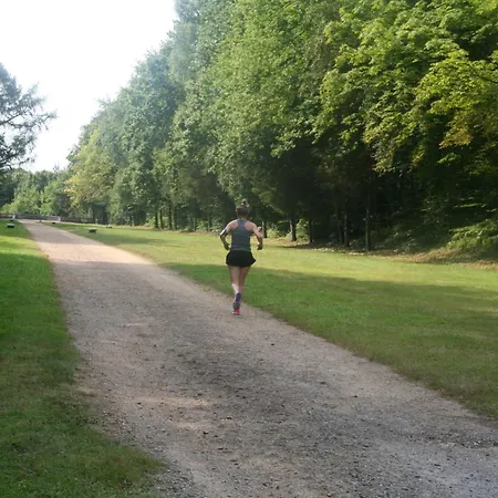 Petite Maison De Charme Dans Domaine Boise *